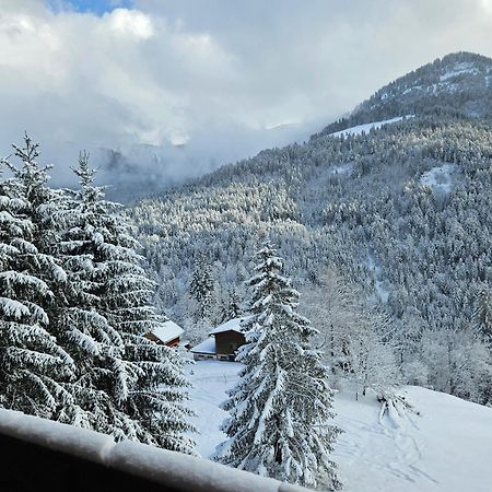 Appartement Melinda Ebnit Dornbirn Esterno foto