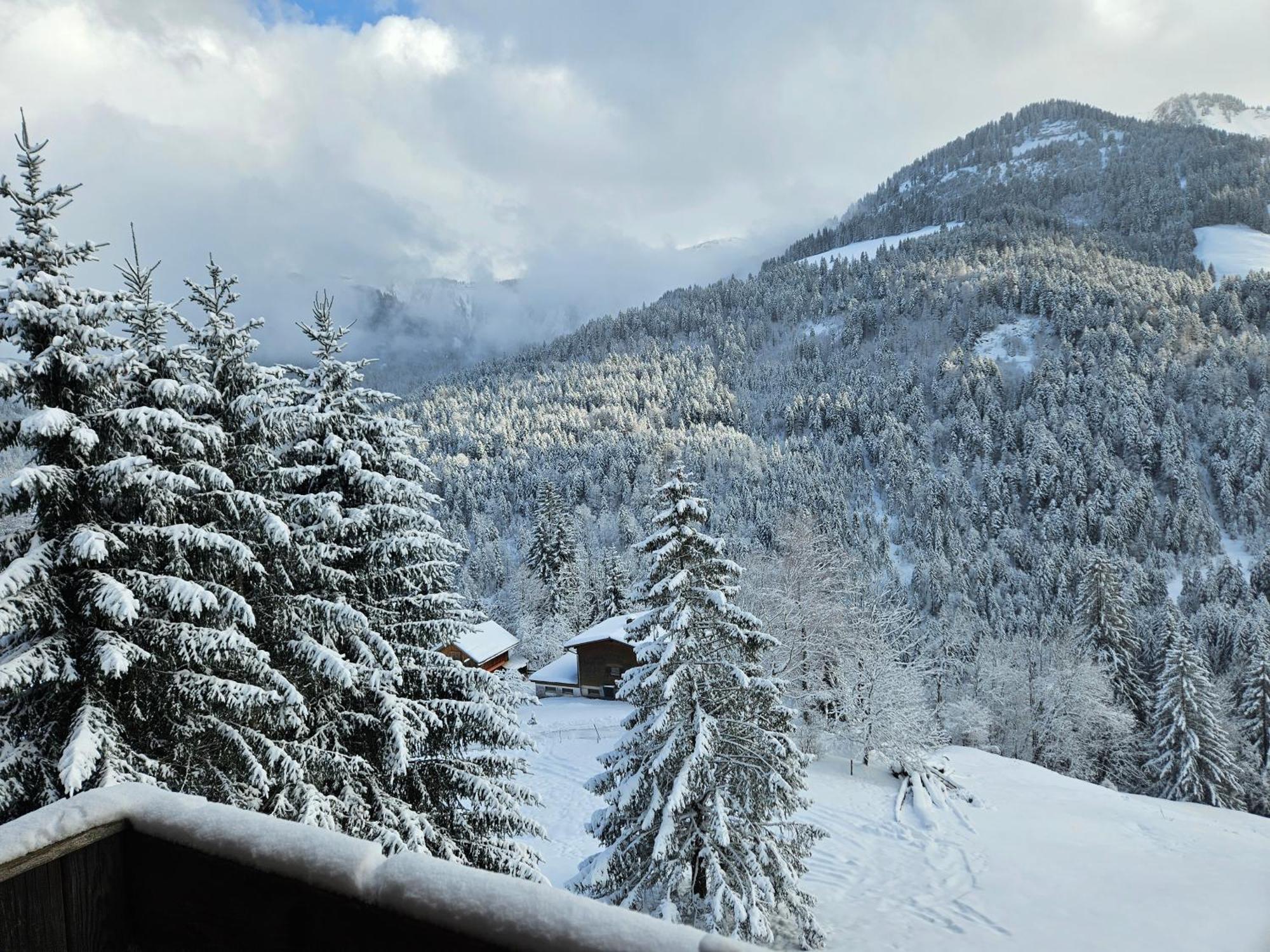 Appartement Melinda Ebnit Dornbirn Esterno foto